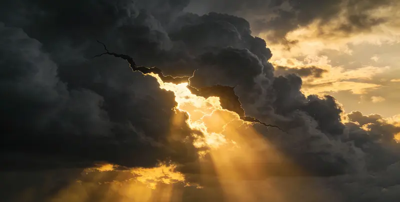 中卫肺癌靶向39基因检测（组织）图片1