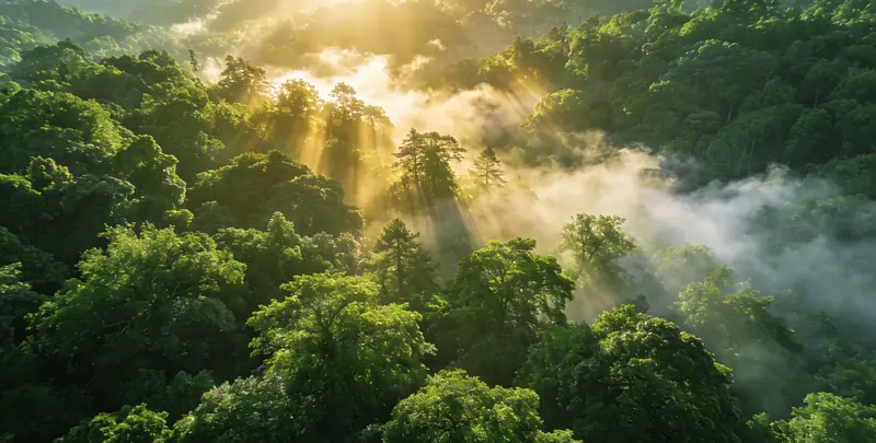 中卫肺癌11基因检测组织版图片1